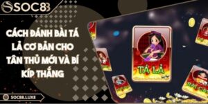 Cách Đánh Bài Tá Lả Cơ Bản Cho Tân Thủ Mới Và Bí Kíp Thắng