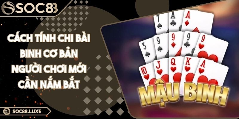 Cách Tính Chi Bài Binh Cơ Bản Người Chơi Mới Cần Nắm Bắt