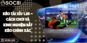 Kèo tài xỉu 1.25 - Cách chơi và kinh nghiệm bắt kèo chính xác