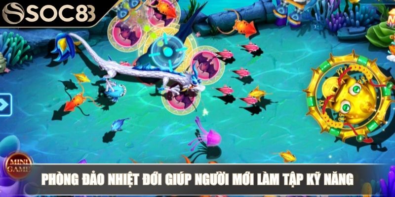 Phòng Đảo Nhiệt Đới giúp người mới làm tập kỹ năng