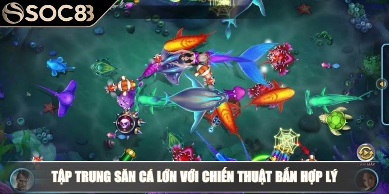 Tập trung săn cá lớn với chiến thuật bắn hợp lý