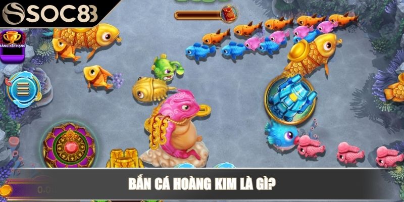 Bắn cá hoàng kim là gì?
