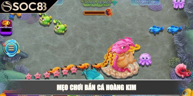 Mẹo chơi bắn cá hoàng kim