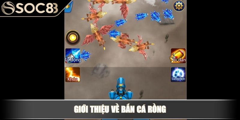 Giới thiệu về Bắn cá rồng