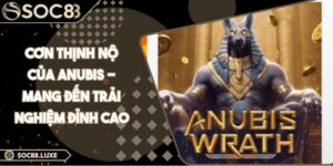 Cơn thịnh nộ của Anubis