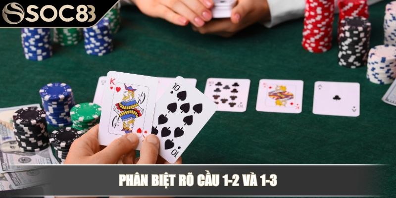 Phân biệt rõ cầu 1-2 và 1-3