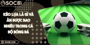 Kèo lựa là gì và ăn được bao nhiêu trong cá độ bóng đá
